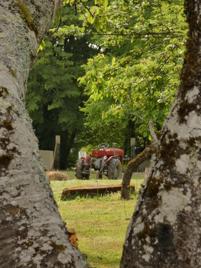 Domaine Du Venet Βίλα Montcony Εξωτερικό φωτογραφία
